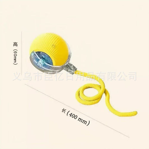 Interactive Smart Rolling Pet Ball Toy
