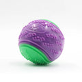 TPR Dog Ball Toy for Fetch, Chewing & Interactive Play