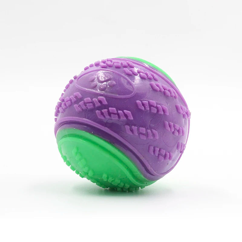 TPR Dog Ball Toy for Fetch, Chewing & Interactive Play