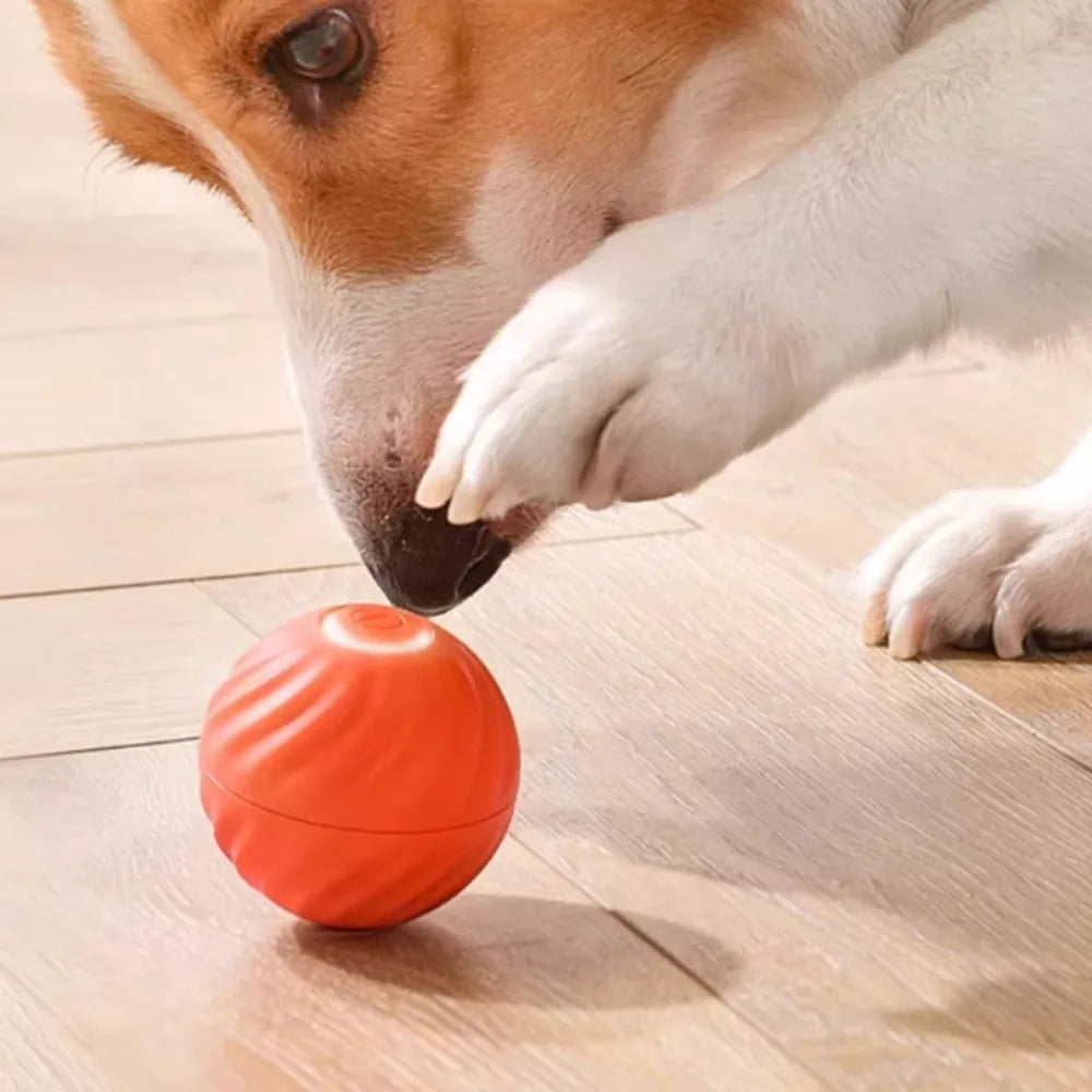 Automatic Moving Dog Ball Toy – USB Rechargeable Interactive Jumping & Rotating Puppy Toy