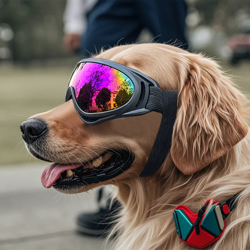 Adjustable Dog Goggles Sunglasses – Black Pet Eye Protection for Dogs