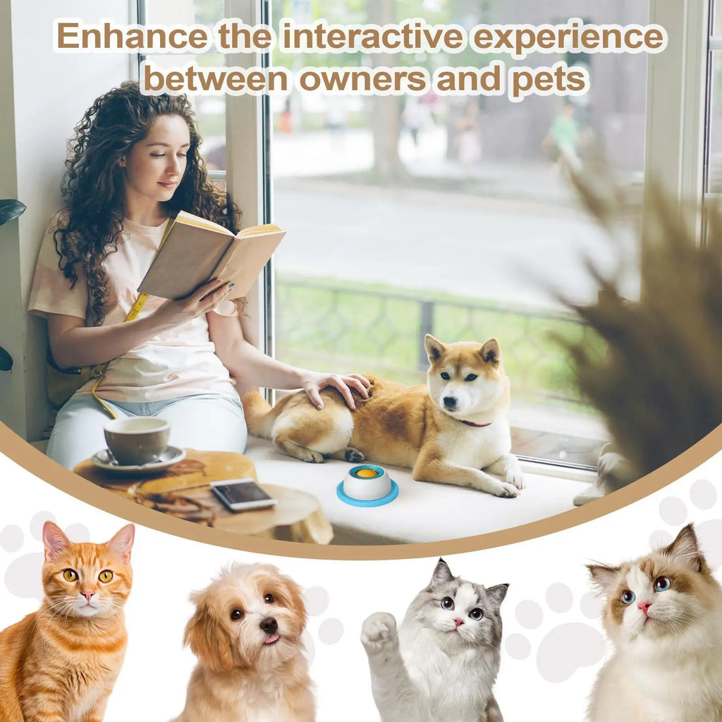 Slow Feed Dog Bowl – Healthy Plastic Feeding Bowl for Dogs, Cats & Puppies