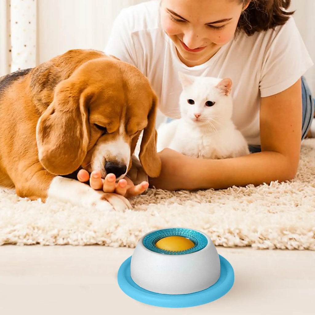 Slow Feed Dog Bowl – Healthy Plastic Feeding Bowl for Dogs, Cats & Puppies