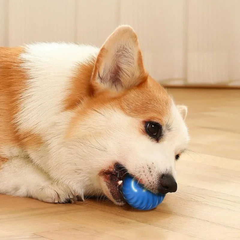 Automatic Moving Dog Ball Toy – USB Rechargeable Interactive Jumping & Rotating Puppy Toy
