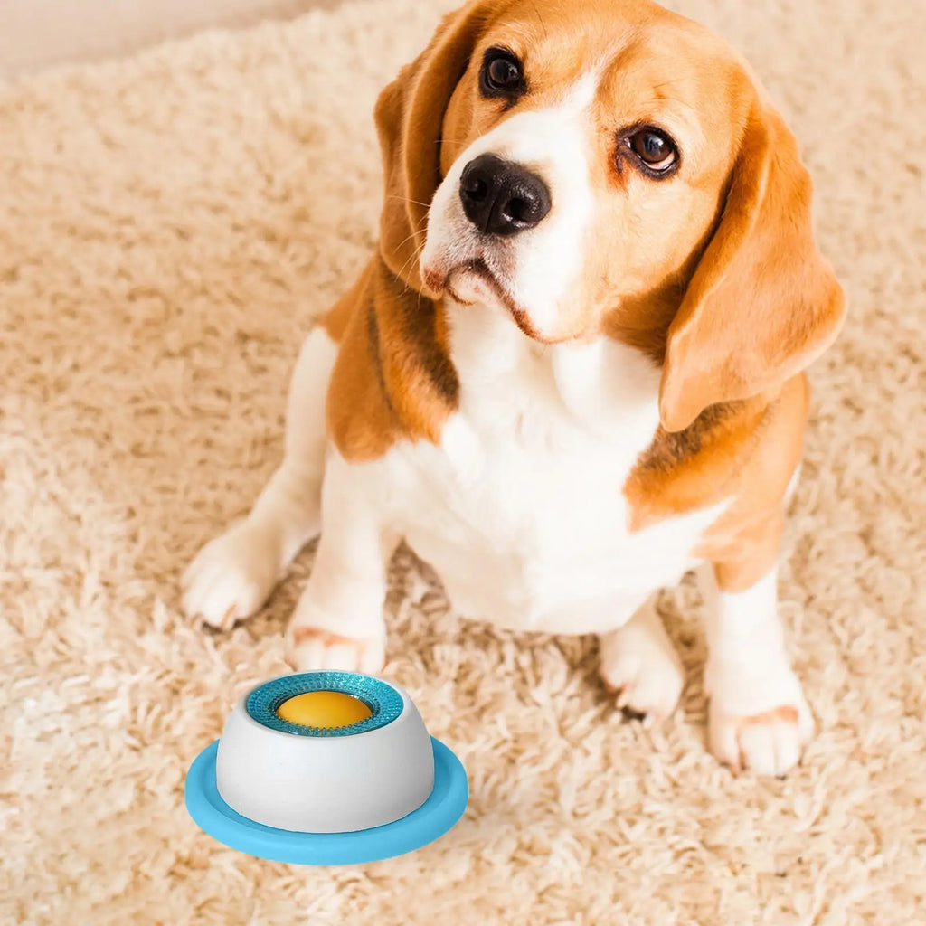 Slow Feed Dog Bowl – Healthy Plastic Feeding Bowl for Dogs, Cats & Puppies