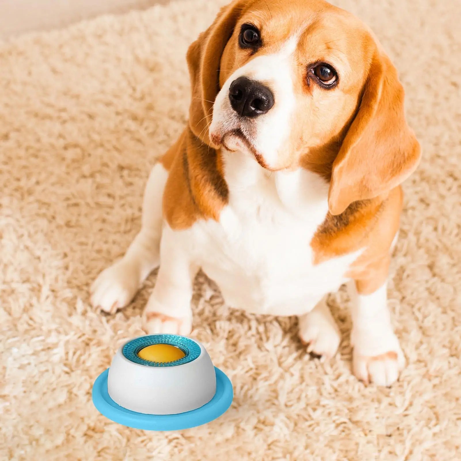 Slow Feed Dog Bowl – Healthy Plastic Feeding Bowl for Dogs, Cats & Puppies