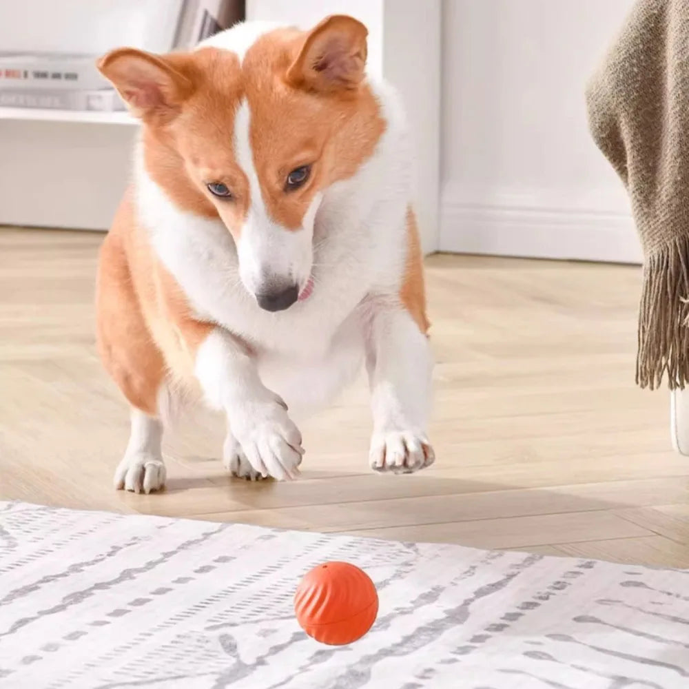 Automatic Moving Dog Ball Toy – USB Rechargeable Interactive Jumping & Rotating Puppy Toy