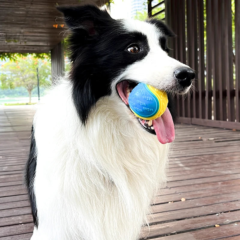TPR Dog Ball Toy for Fetch, Chewing & Interactive Play