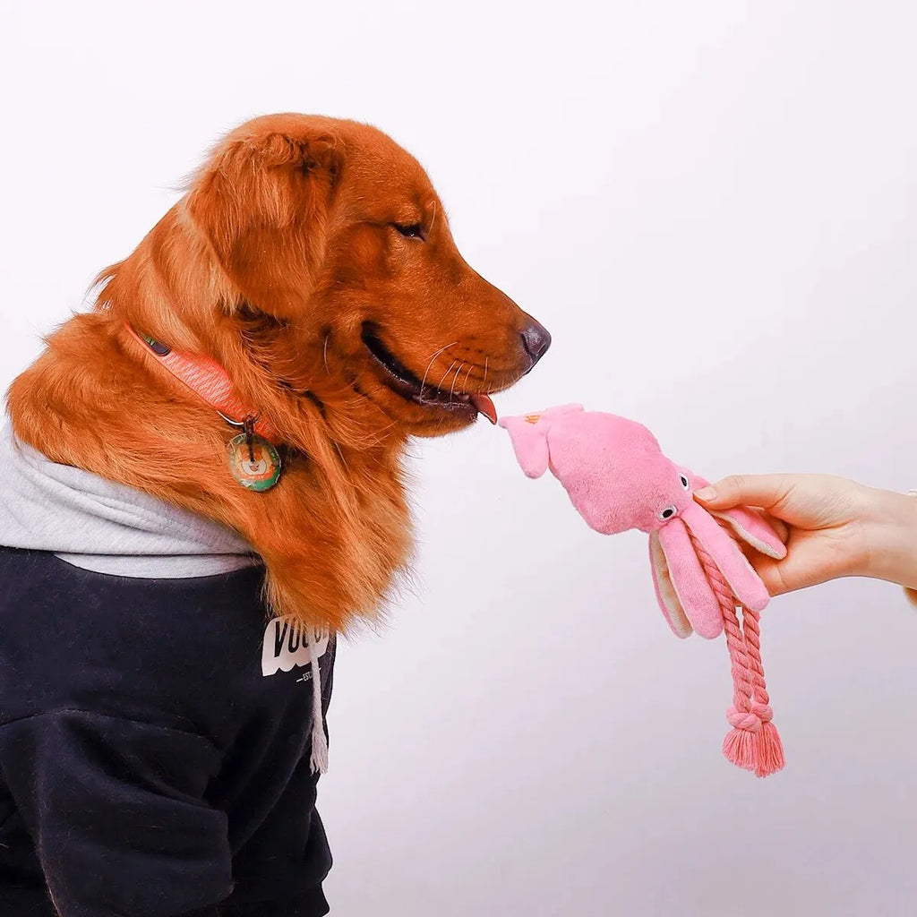 Soft Fleece Dog Chew Toy for Gentle Play