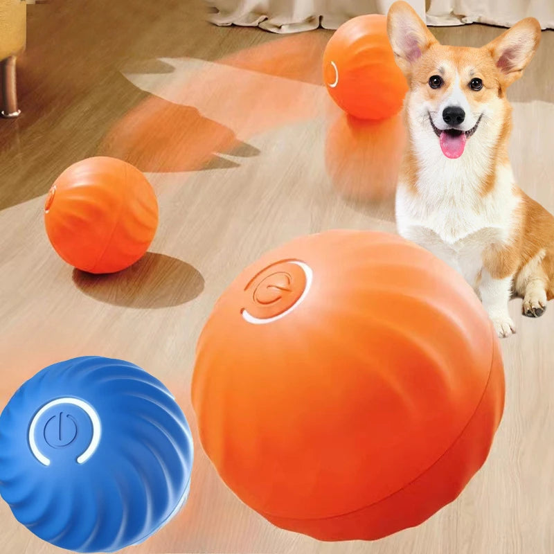 USB rechargeable automatic moving dog ball toy for puppies