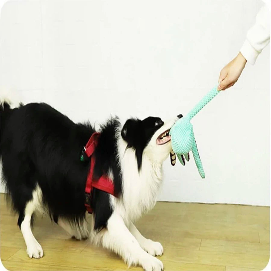 Product Title Plush Squeaky Dog Toy – Soft Fleece Chew & Play Toy