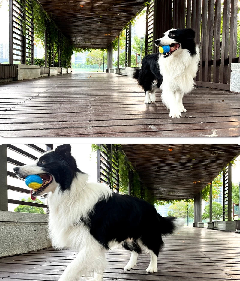 TPR Dog Ball Toy for Fetch, Chewing & Interactive Play