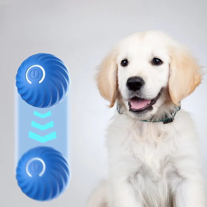 Automatic Moving Dog Ball Toy – USB Rechargeable Interactive Jumping & Rotating Puppy Toy