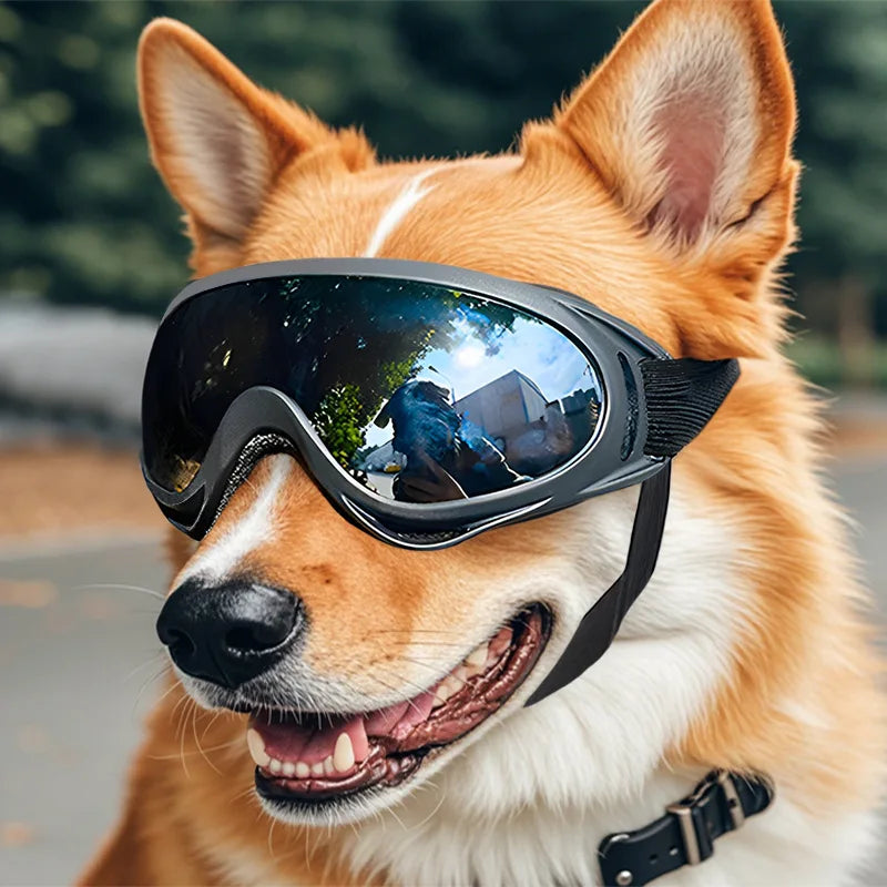 Adjustable Dog Goggles Sunglasses – Black Pet Eye Protection for Dogs