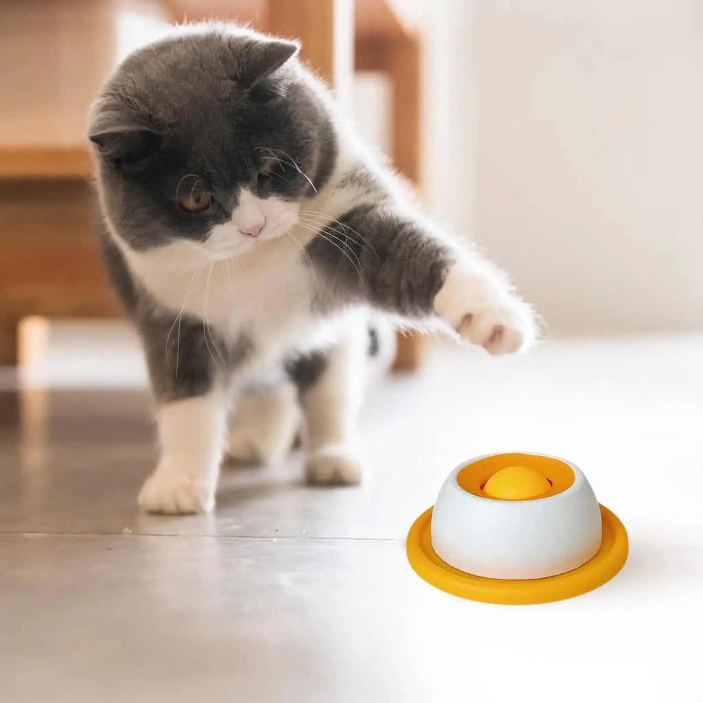 Slow Feed Dog Bowl – Healthy Plastic Feeding Bowl for Dogs, Cats & Puppies