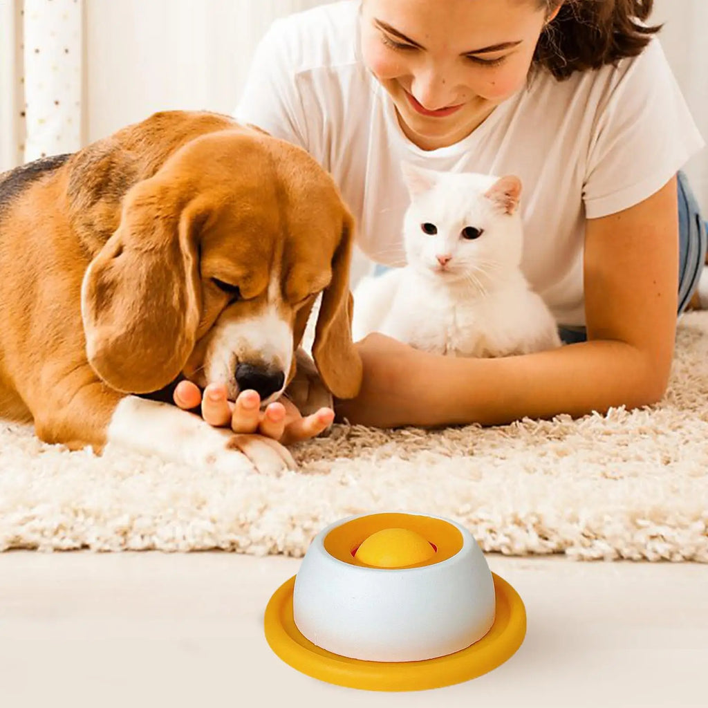 Slow Feed Dog Bowl – Healthy Plastic Feeding Bowl for Dogs, Cats & Puppies