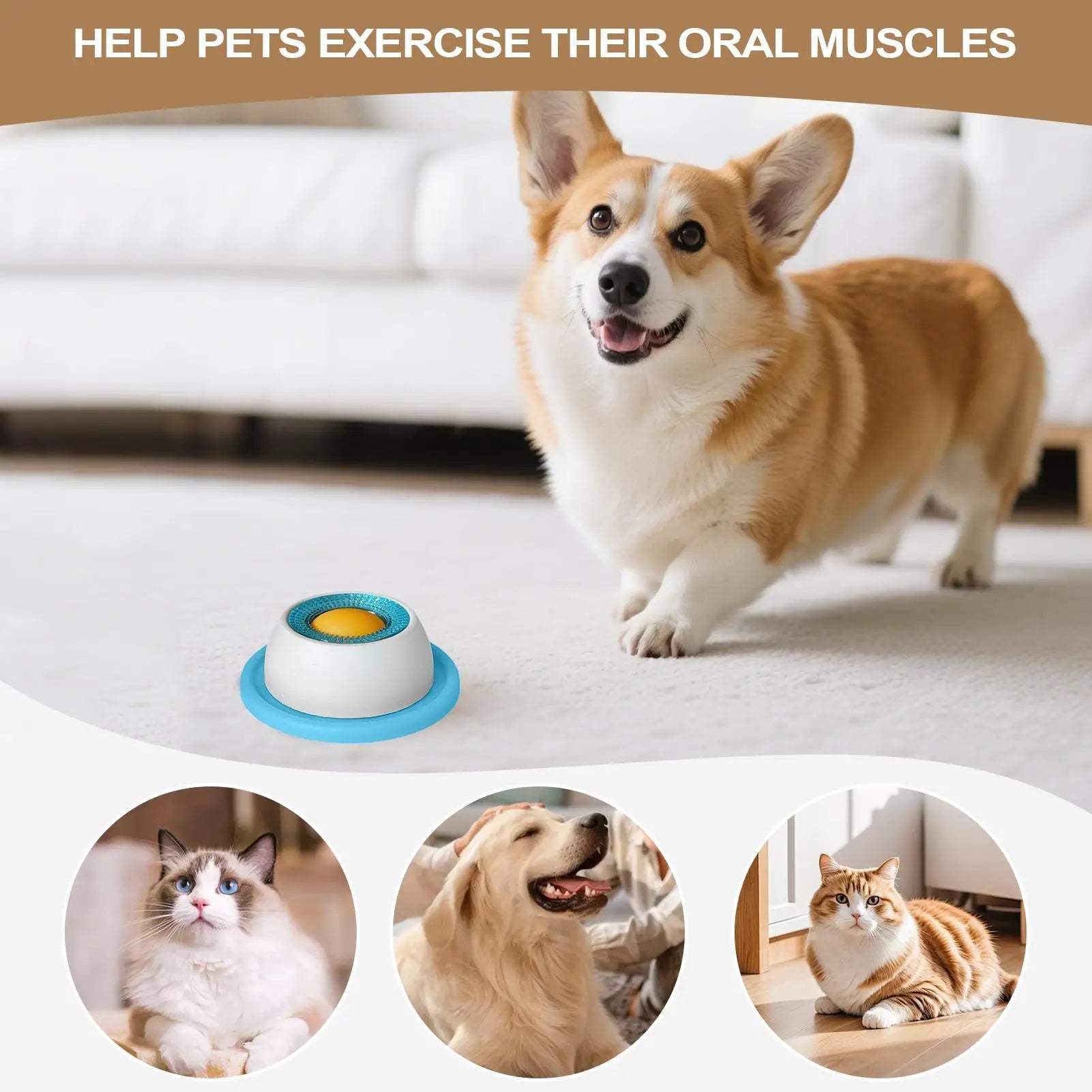 Slow Feed Dog Bowl – Healthy Plastic Feeding Bowl for Dogs, Cats & Puppies