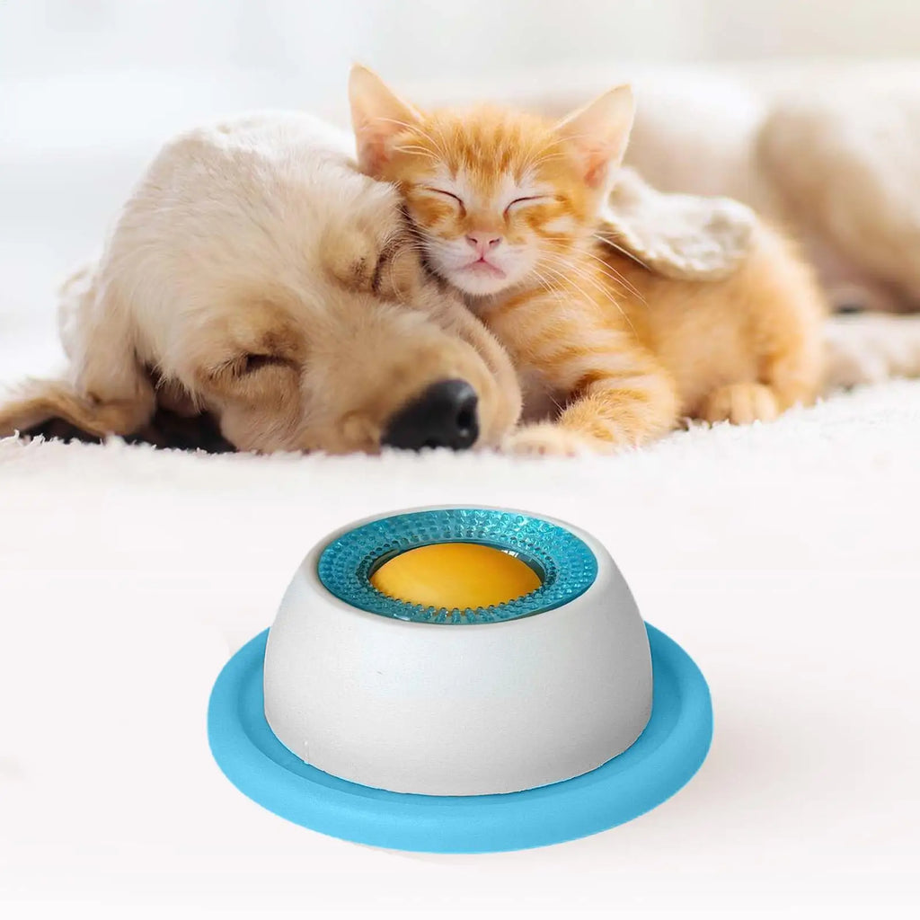 Slow Feed Dog Bowl – Healthy Plastic Feeding Bowl for Dogs, Cats & Puppies