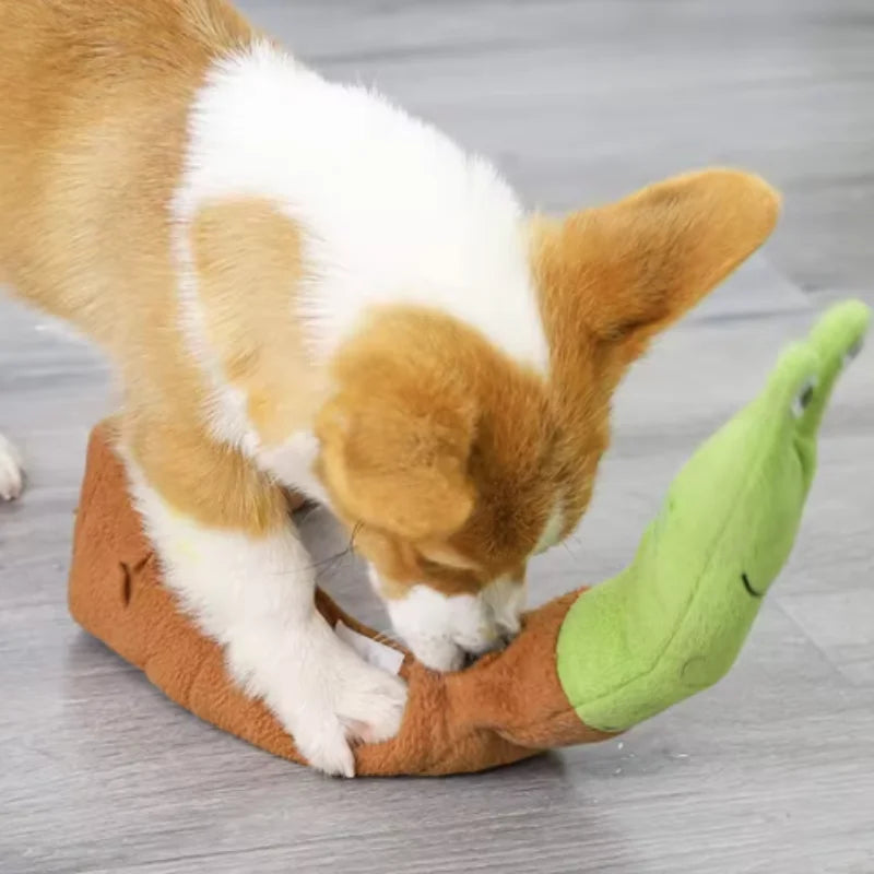 Plush Dog Toy for Aggressive Chewers – Soft Fleece Squeaky Toy for Dog